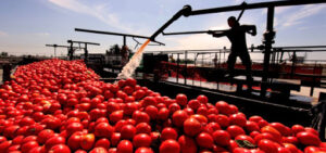 خرید رب گوجه از کارخانه